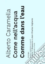 Caramella Alberto; Vegliante J. (cur.); Bravaccio V. T. (cur.)