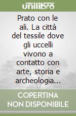 Ciattini Giovanni; Toccafondi Paolo