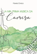Civico Flavia