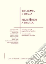 Di Paola Zoufalova K. (cur.)