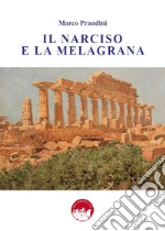 Prandini Marco