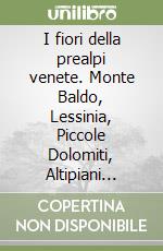 Mocellin Matteo; Perini Paolo