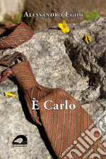 Egidi Alessandro