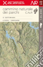 Castrofilippo Pierpaolo; Turini Giacomo