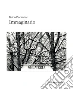 Piacentini Guido