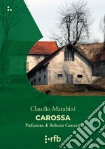 Marabini Claudio