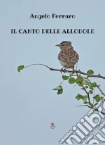 Ferraro Angelo