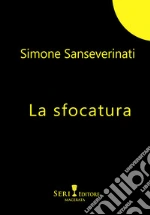 Sanseverinati Simone