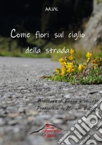 Ballerini M. (cur.)