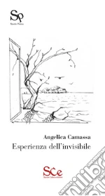 Camassa Angelica