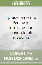 Campo Salvatore