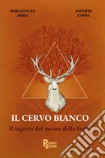 Meda Marialucia; Coppa Daniele