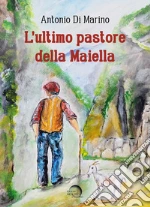 Di Marino Antonio
