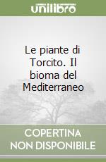 Marchetti Tonino