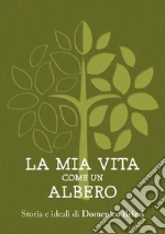 Brizzi Domenico
