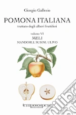 Gallesio Giorgio; Angelini M. (cur.)