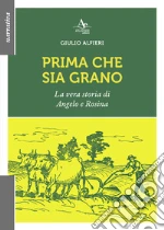 Alfieri Giulio