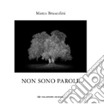 Bruscolini Marco