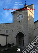Sorcini Silvio; Vannozzi Stefano