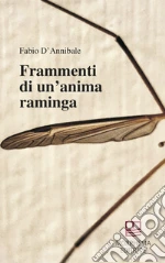 D'Annibale Fabio