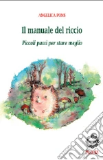 Pons Angelica