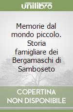 Bergamaschi Demetrio