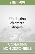 Patarino Chiara