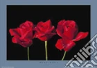 RED ROSES RED ROSES