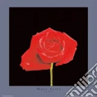 RED ROSE RED ROSE