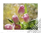 Pink Tulips Pink Tulips