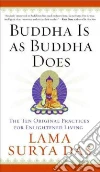 Das Lama Surya