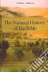 D  Hillel