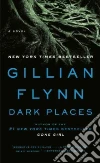 Flynn Gillian