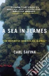 Safina Carl