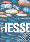 Hesse Hermann, Roloff Michael