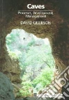 Gillieson David