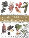 Schneider Elizabeth, Schneider Elizabeth (PHT)