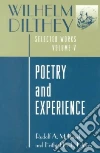 Dilthey Wilhelm, Rodi Frithjof (EDT)