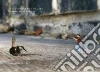 Slinkachu (PHT), Self Will (FRW)