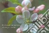 Peony Press (COR)