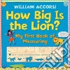 Accorsi William