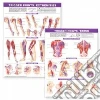 Anatomical Chart Company (EDT)