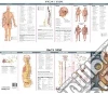 Anatomical Chart Company (COR)