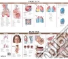 Anatomical Chart Company (COR)
