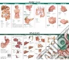 Anatomical Chart Company (COR)