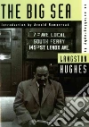 Hughes Langston