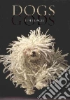 Tim Flach