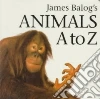 Balog James