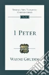 Grudem Wayne A.