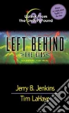 Jenkins Jerry B., LaHaye Tim F., Fabry Chris